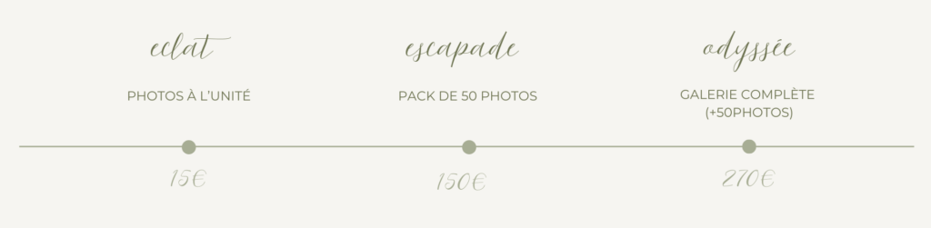 tarif galerie séance photo grossesse drôme